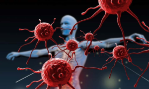Como fortalecer o sistema imunológico